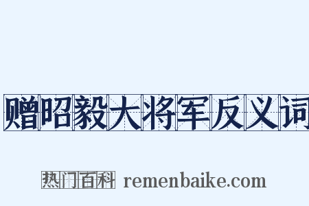 赠昭毅大将军反义词是什么意思的图片